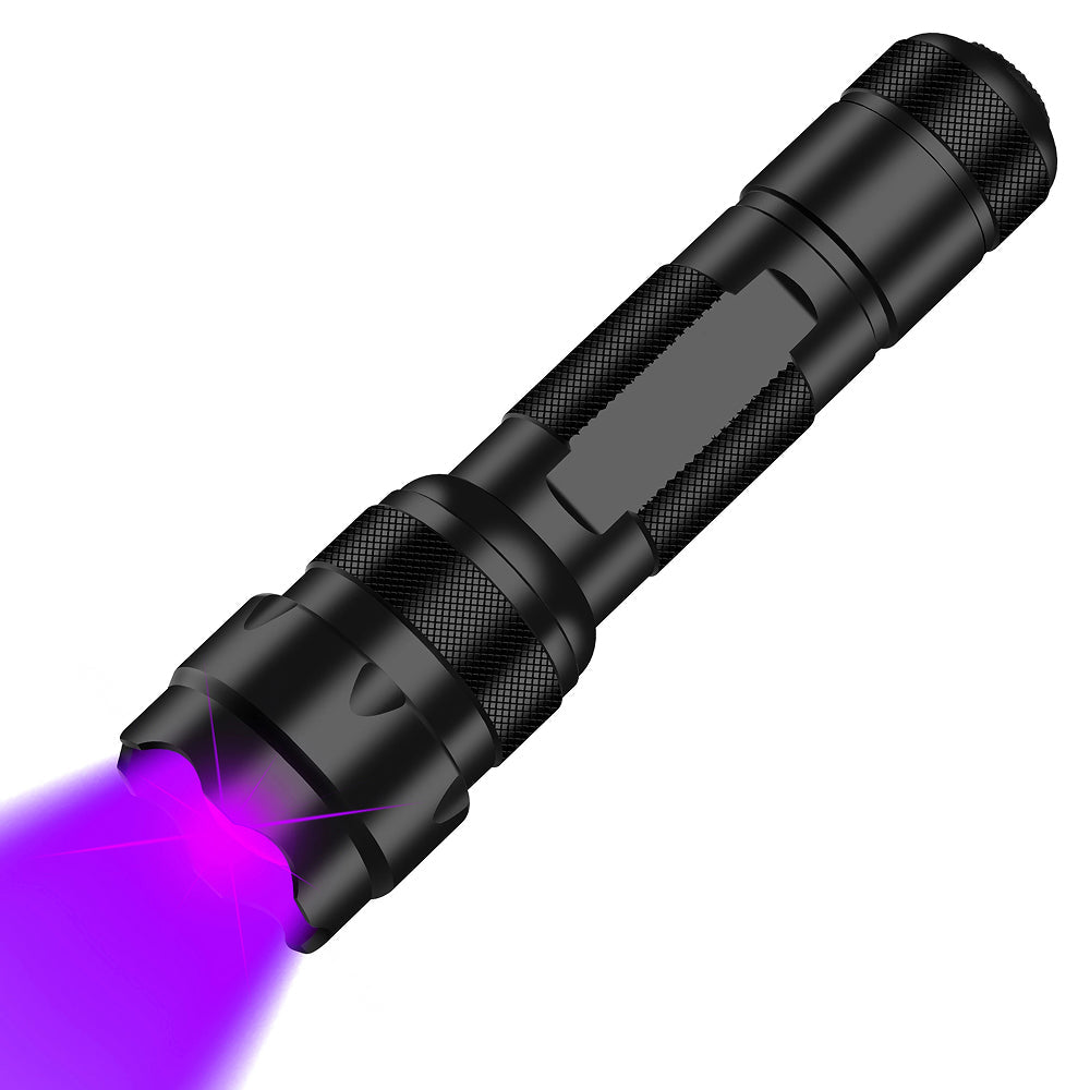 WisiPlux