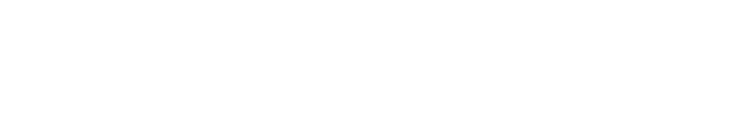 ConecLynx
