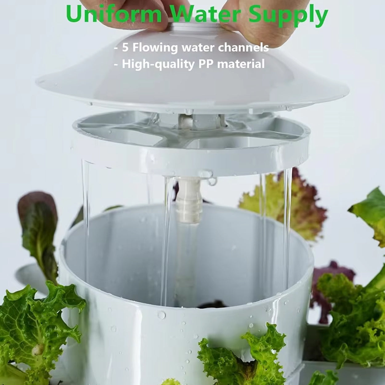 HydroLofto