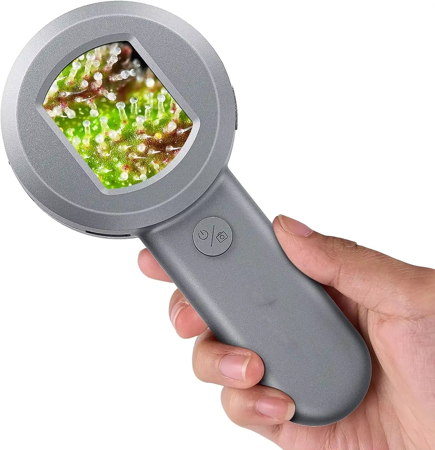 MagniVoex