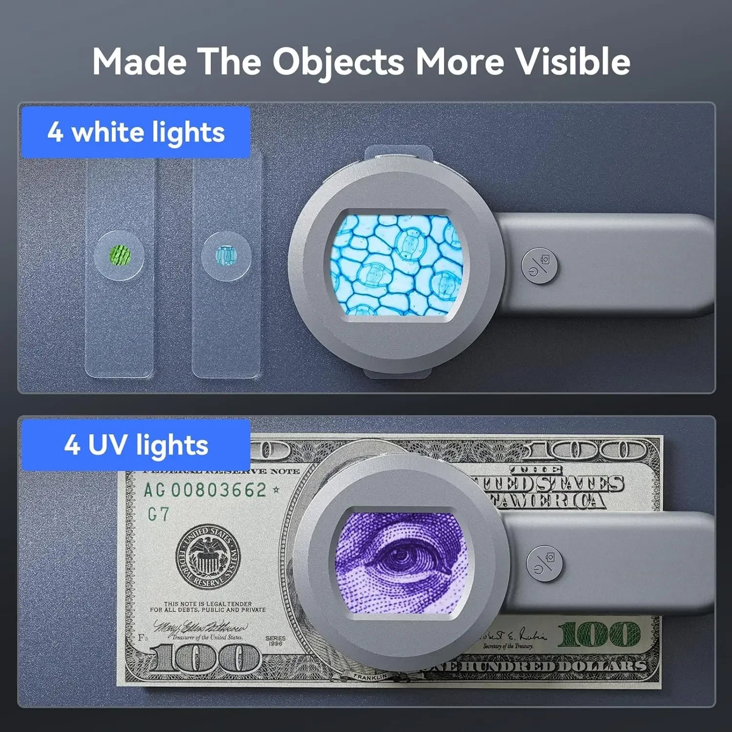 MagniVoex
