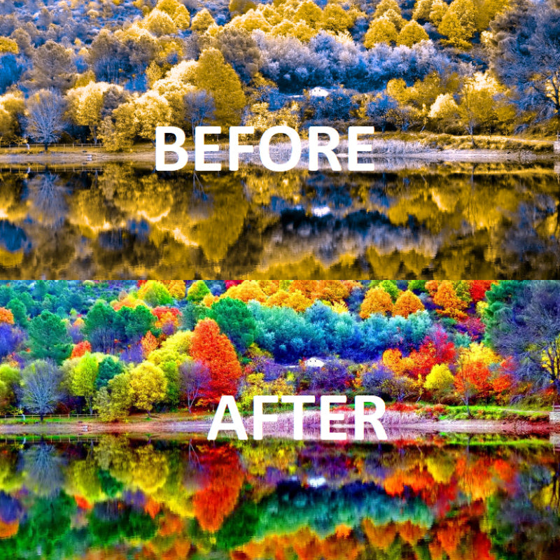 SpecTrafie