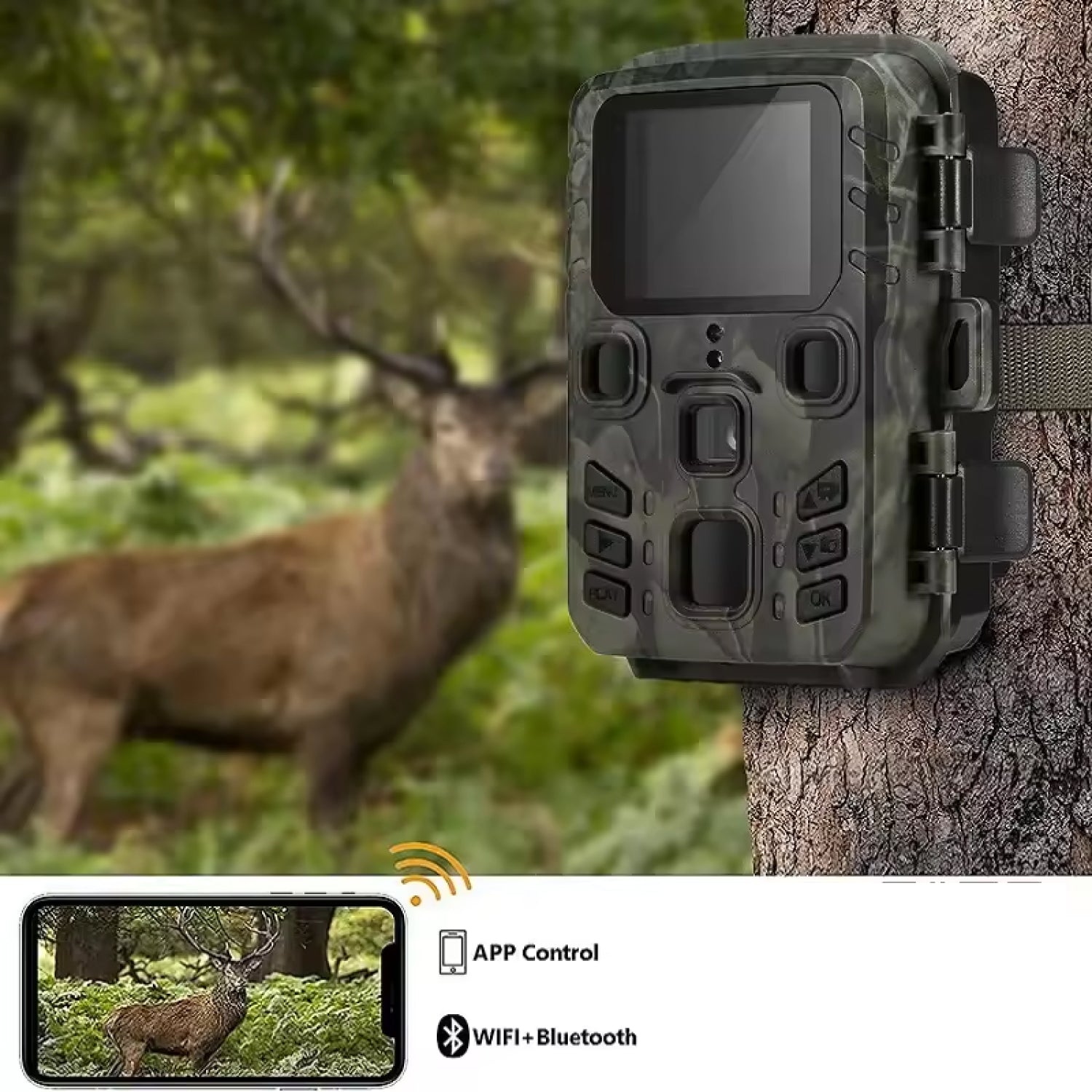 TrailPixi