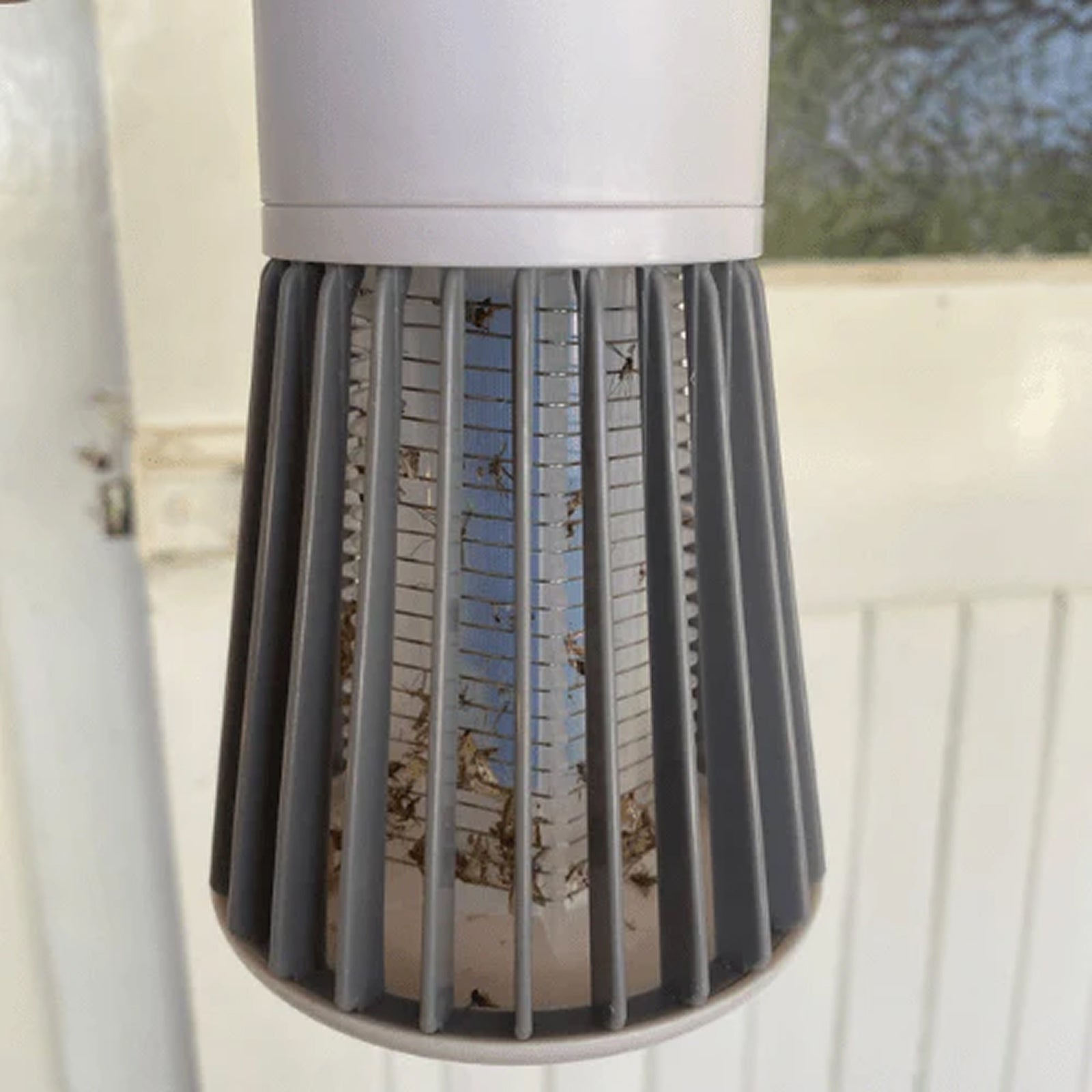 zap-nixi-img-12.jpg__PID:6fb45793-b6e8-4f93-b3db-ac25aa987e2c