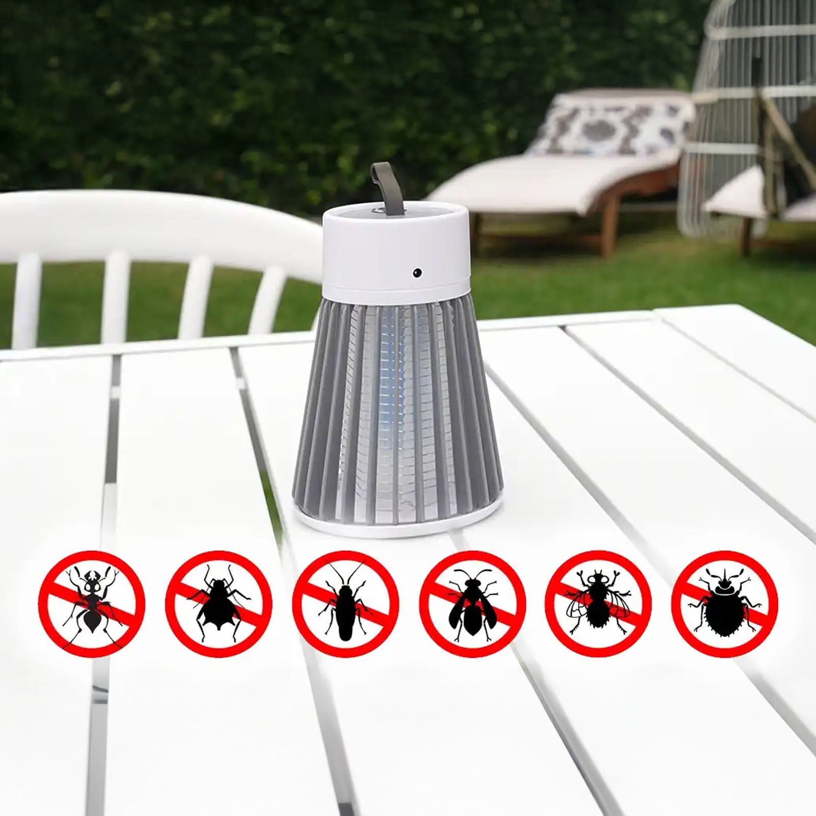 zap-nixi-img-14.jpg__PID:5793b6e8-1f93-43db-ac25-aa987e2c18ee